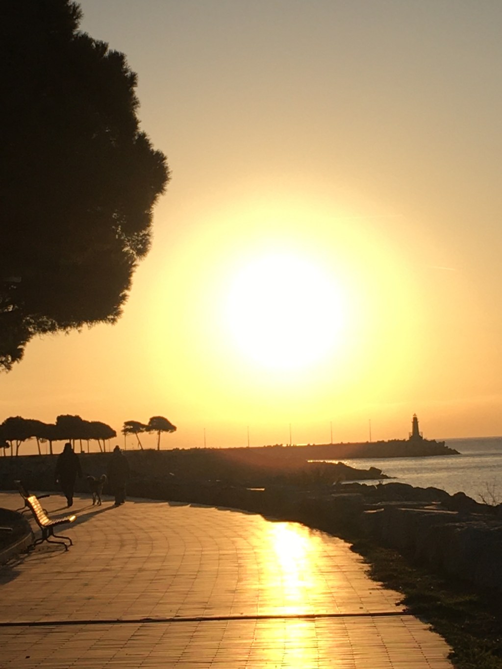 In nature, gold can be found in different ways.